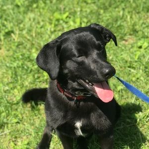 Meet your Posher, Kendall